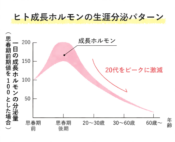 ヒト成長ホルモンの生涯分泌パターン